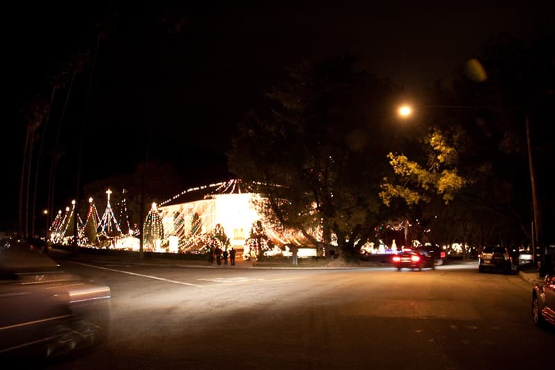Christmas Tree Lane