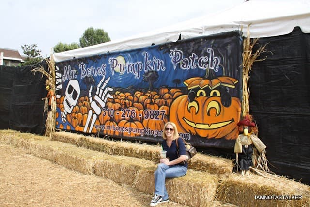 Mr. Bones Pumpkin Patch . . . A Second Time
