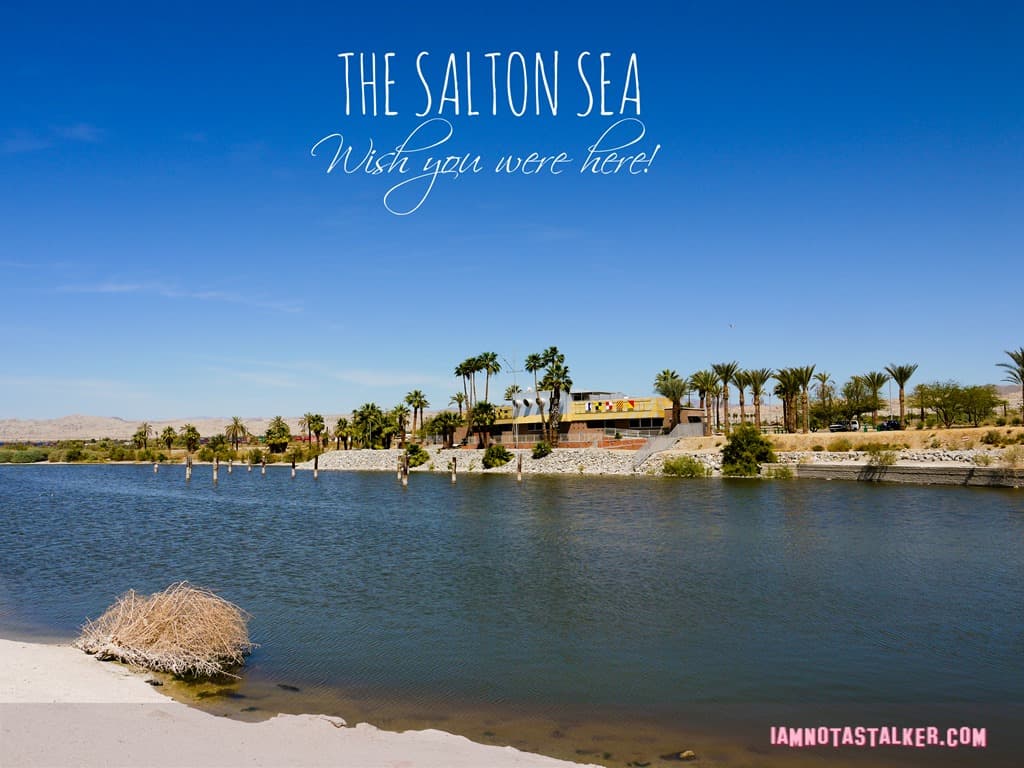 The Salton Sea