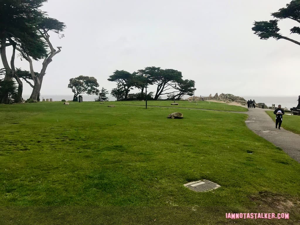Blissful Drip Caf&eacute; from “Big Little Lies”